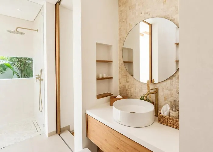 Coco 1br Private Pool In Pererenan With Skylight Bathtub Canggu (Bali)